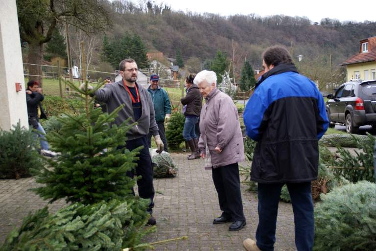 Weihnachtsbaumverkauf 2008 Bild Nr.030